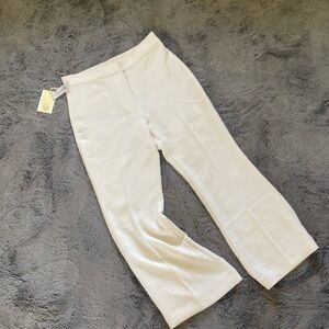 Cream colored Aritzia dress pants